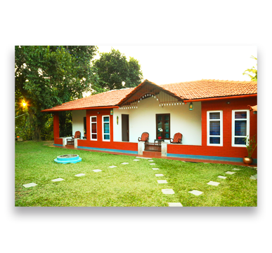 About Coffee Valley Homestay