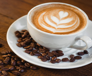 Coffee Trails at Coffee Valley Homestay