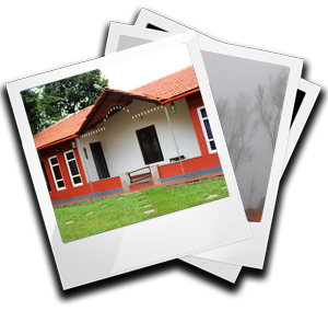 Coffee Valley Homestay Chikkamagalur