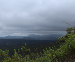 Chikmagalur Site Seeing