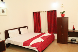 Rooms at Coffee Valley