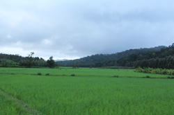 Scenic View of Chikmagalur